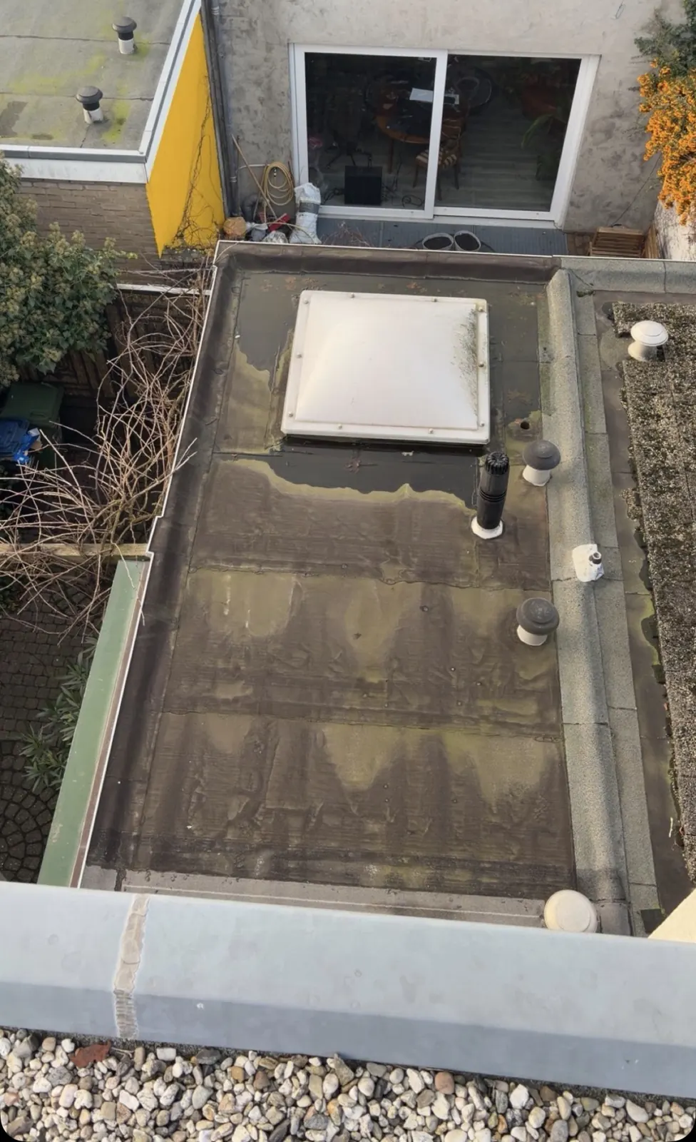 Plat dak voor de renovatie: verweerde bitumen met plassen en algen